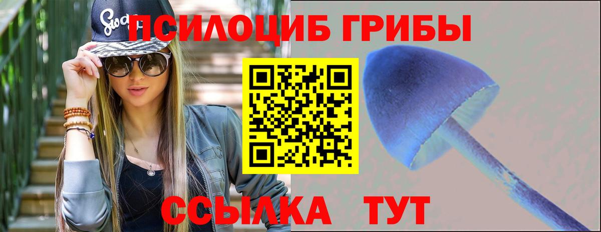 Кулебаки  Псилоцибиновые грибы прущие грибы  Вход с VPN  Псилоцибиновые грибы Magic Shrooms 
