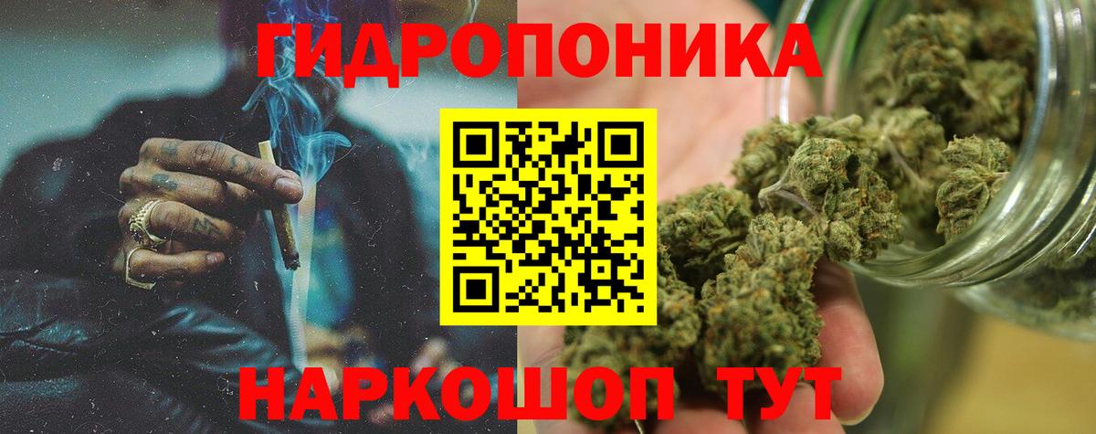 Конопля планчик Кулебаки